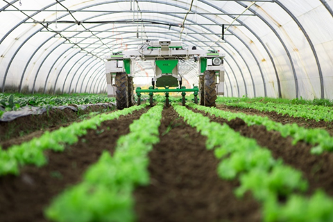 Image of seed farming 