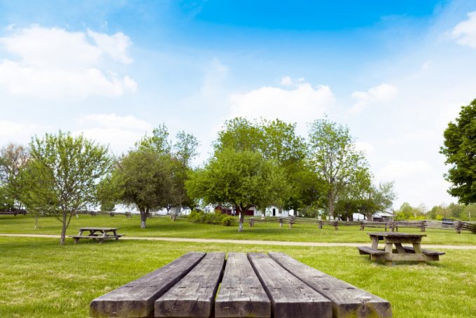 On A Park Bench Far, Far Away