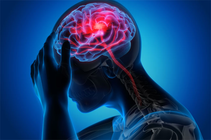 Shutterstock image of brain under scan