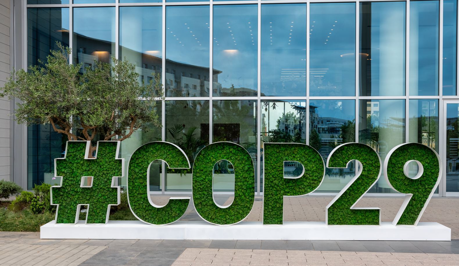 COP29 Shutterstock