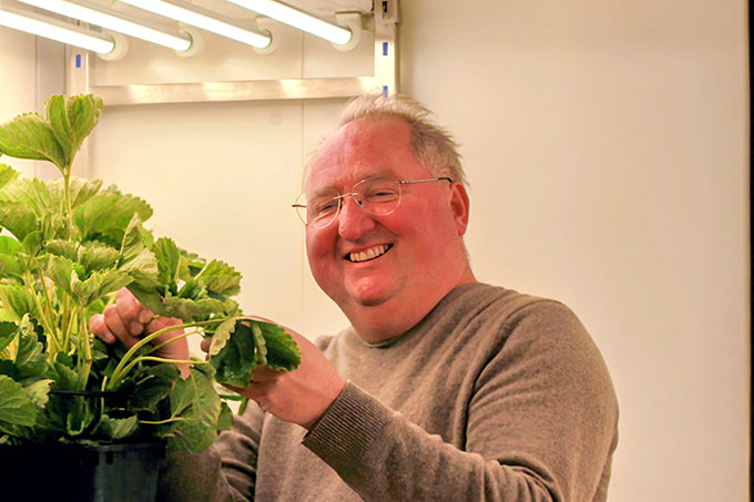 Dr Alex Forsyth inspecting plants in the University's growth rooms