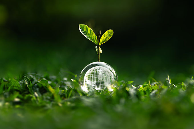 Glass world on the grass