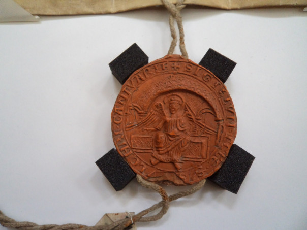 Canterbury Seals Day  – looking to the past, present and future
