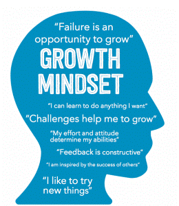 Growth Mindset
"Failure is an opportunity to grow"
"Challenges help me to grow"
"My effort and attitude determine my abilities"
"Feedback is constructive"
"I am inspired by the success of others"
"I like to try new things"