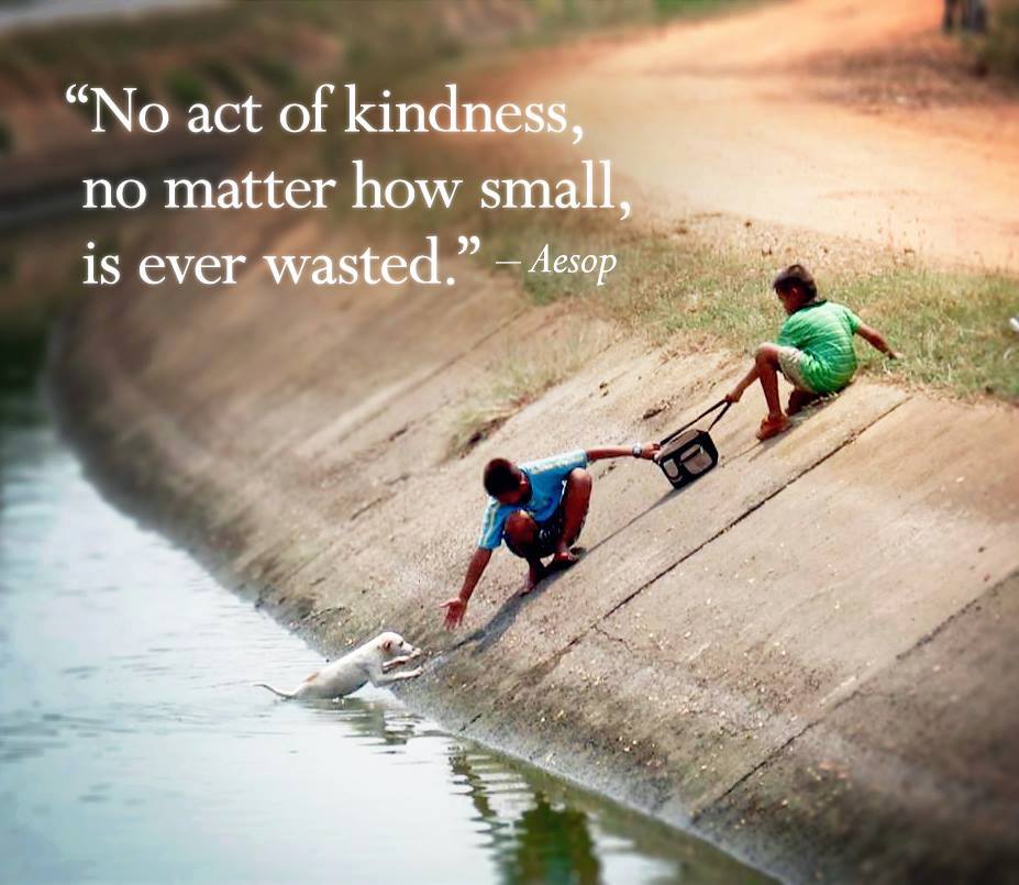 text - 'no act of kindness, no matter how small, is ever wasted' Aesop