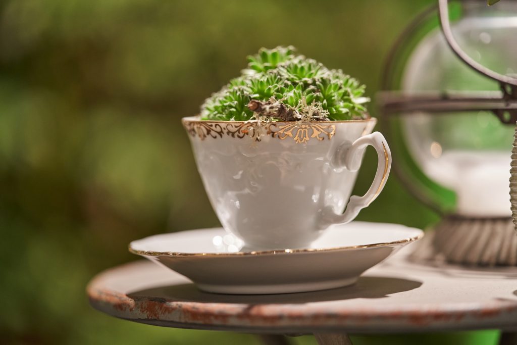 a teacup and saucer