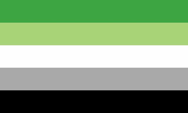 Aromantic flag. Horizontal lines greens, white, grey and black