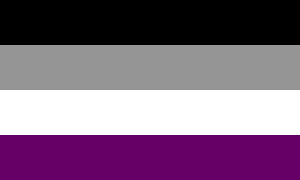Asexual flag. Horizontal lines black, grey, white and purple