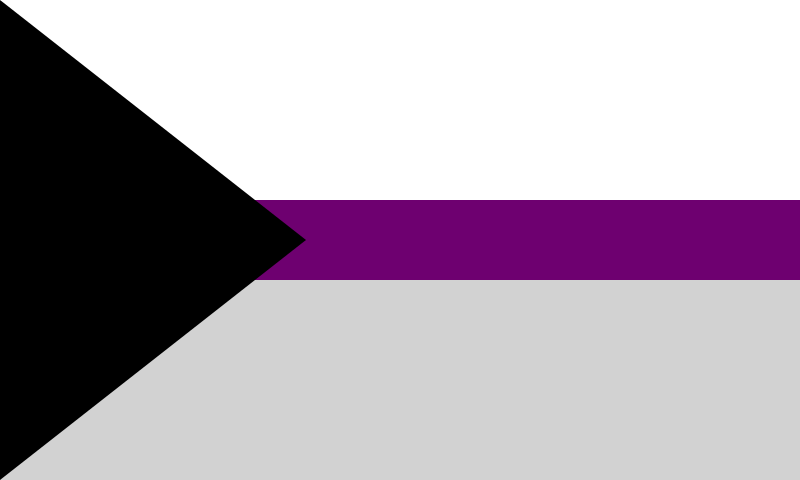 Demisexual flag. Horizontal lines white, purple and grey. Black triangle pointing right.