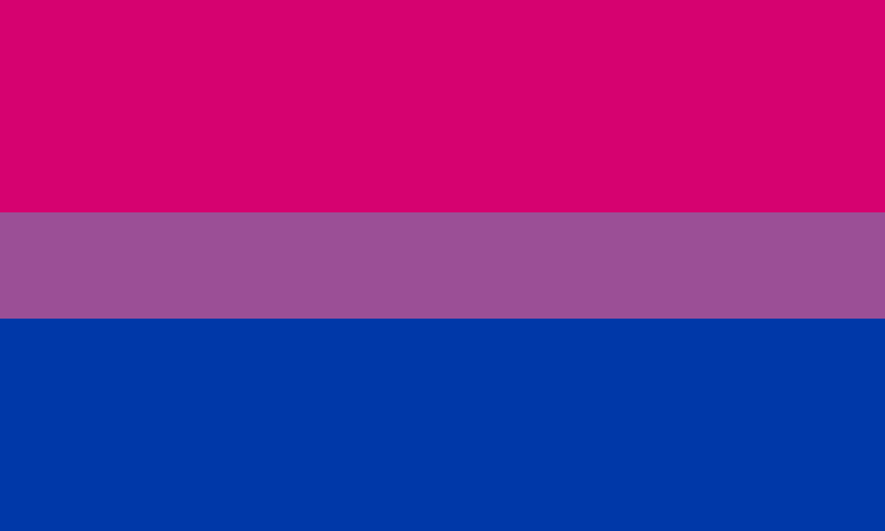 Bisexual flag. Horizontal lines pink, purple and blue