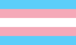 Trans flag. Horizontal lines light blues, pinks and white