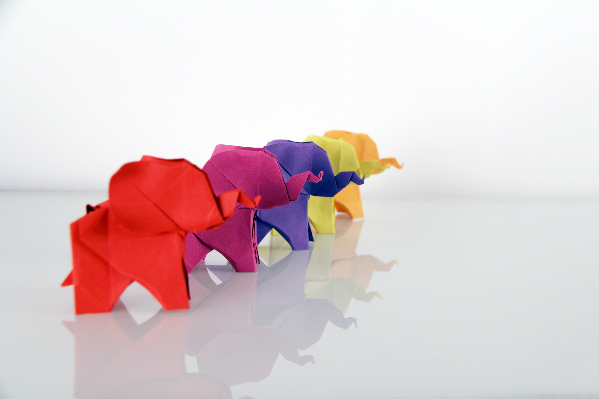 origami elephants