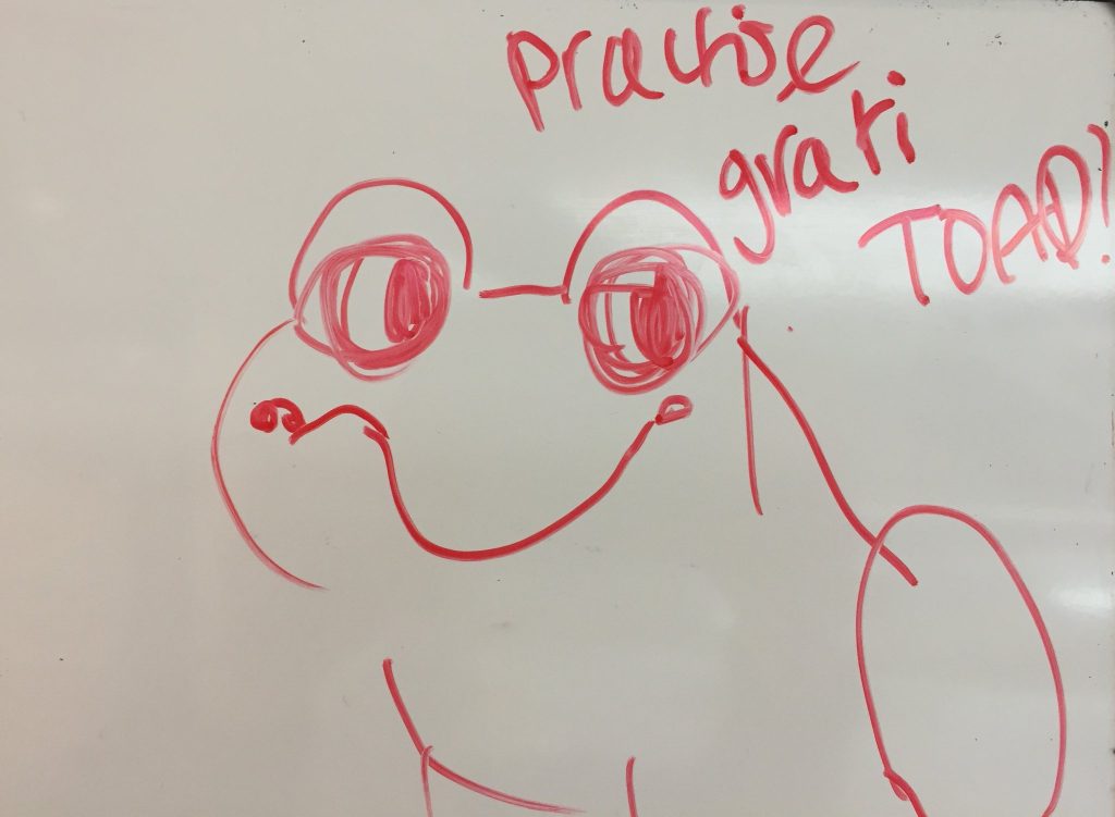 whiteboard drawing of a toad with the text practice grati toad