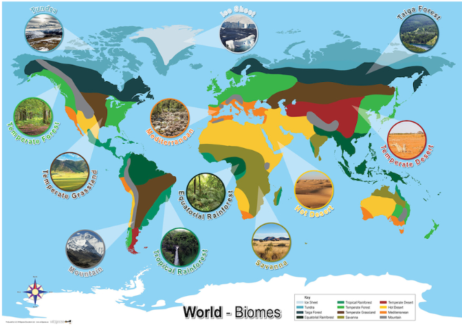 World biomes poster