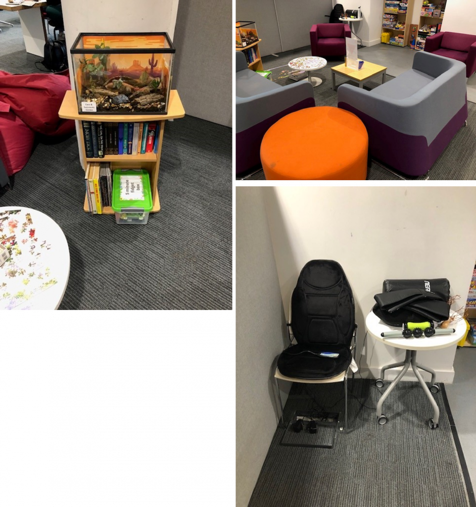 three images - exploring the chill out area furniture, massage equipment, succulent tank garden and reading materials