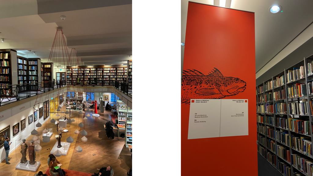 Photos of the Wellcome Library.