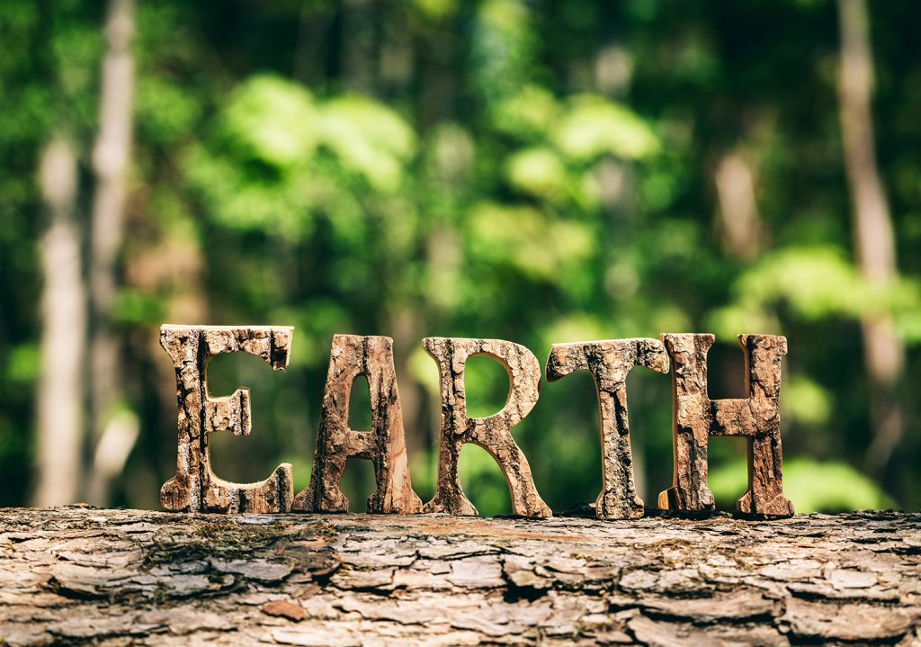 EARTH writing made from wooden letters, standing in the forest. Earth Day. Save the Earth.