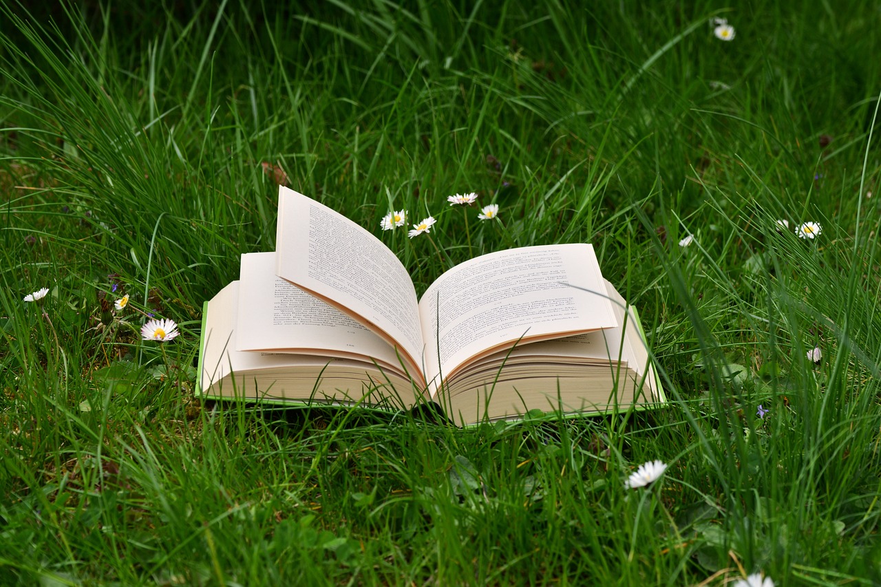 Book in a meadow