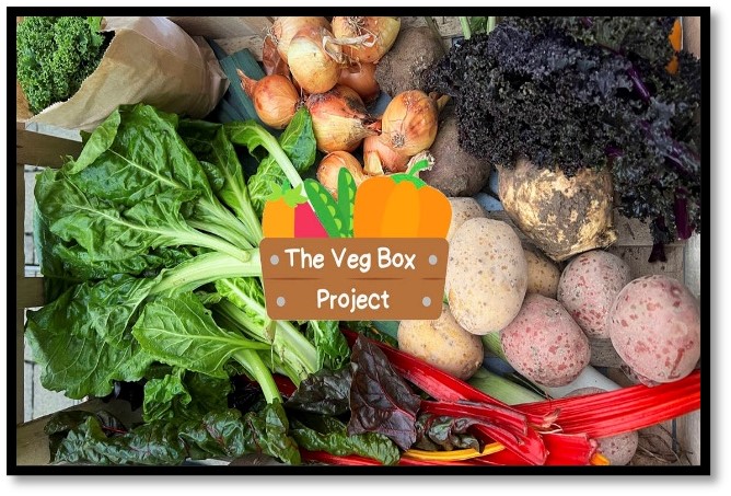 Advert for Veg Box project  different types of fruit 