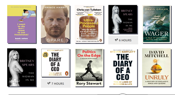 Collection of non fiction e-book covers screenshot taken from Libby.