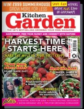 Magazine cover