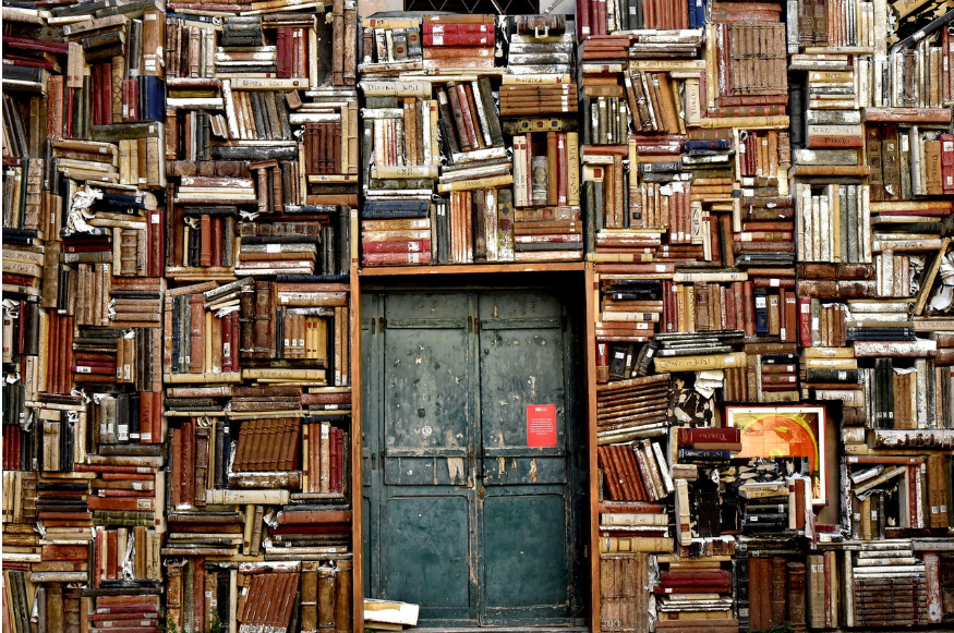 Wall of books with a door in the middle