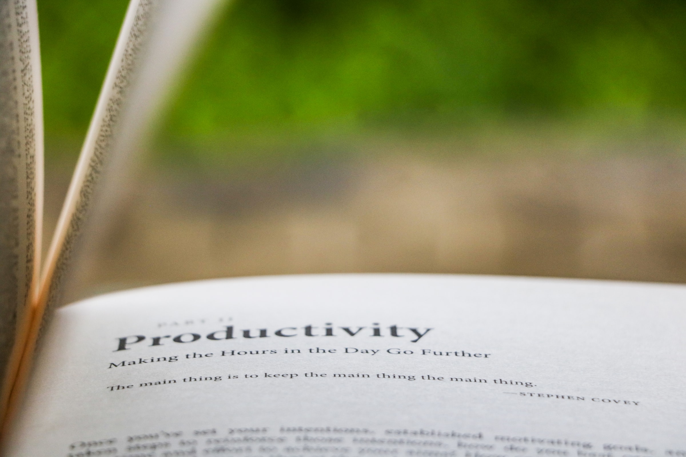 Book chapter opened at the word Productivity