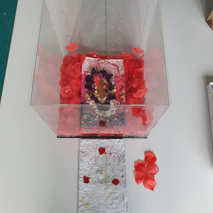 Dried red flower petals in a clear box