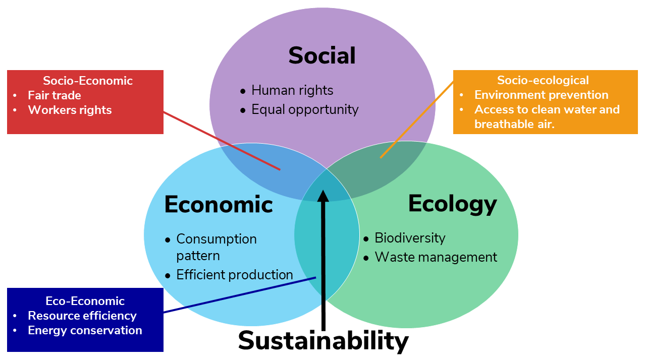 TL;DR – An intro to Sustainability | Sustainability