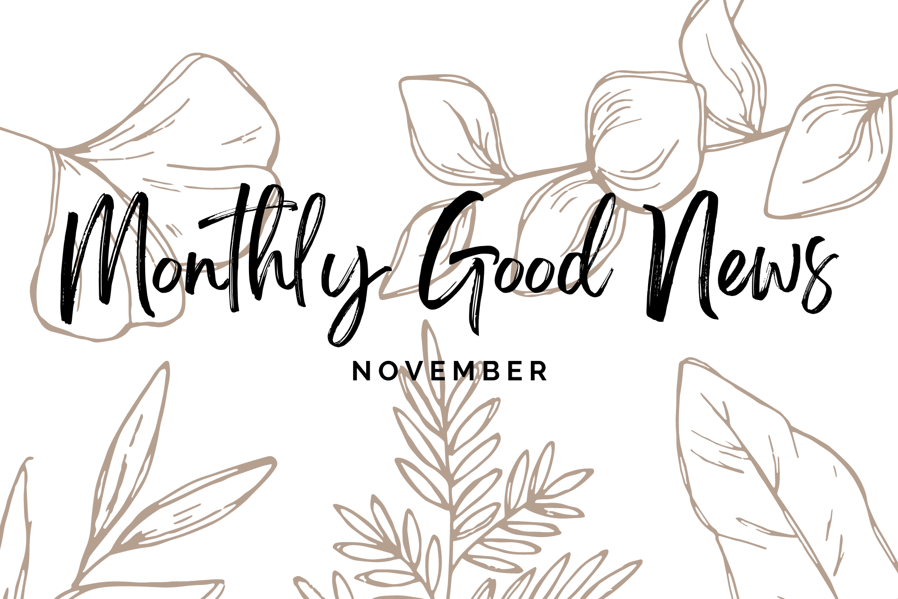 Monthly Good News #3: November 2022