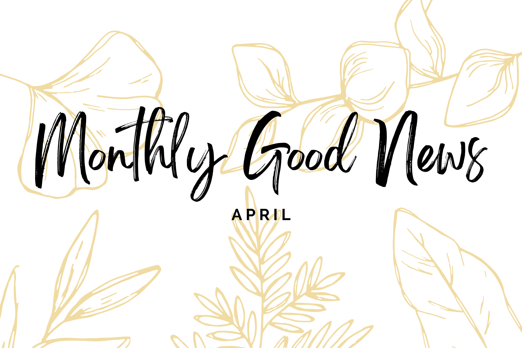 Monthly Good News #8: April