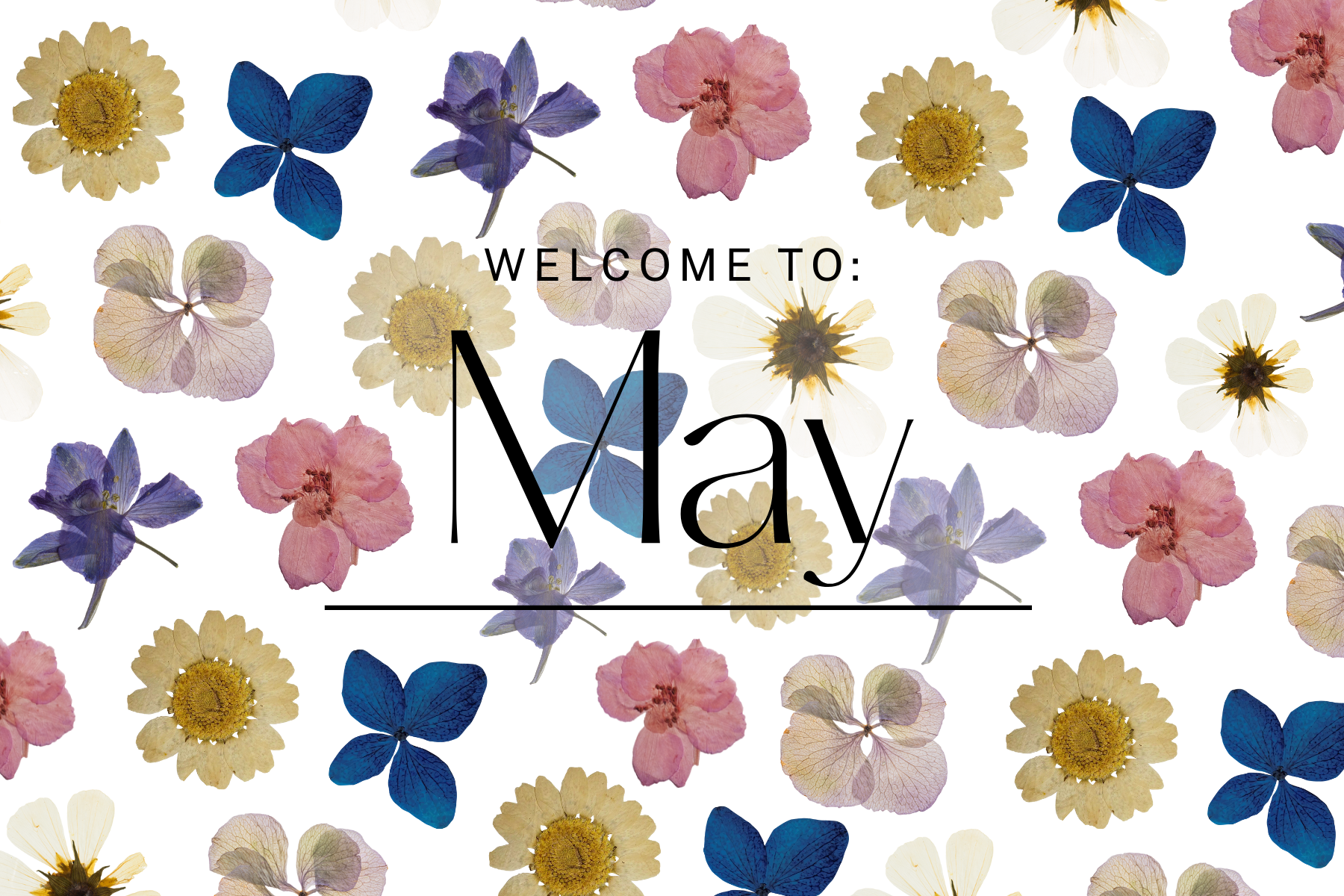 Welcome to May
