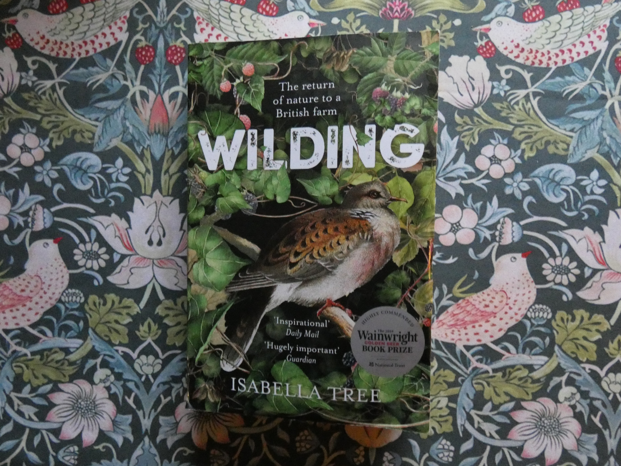 Sustainability Book Reviews #2: Wilding