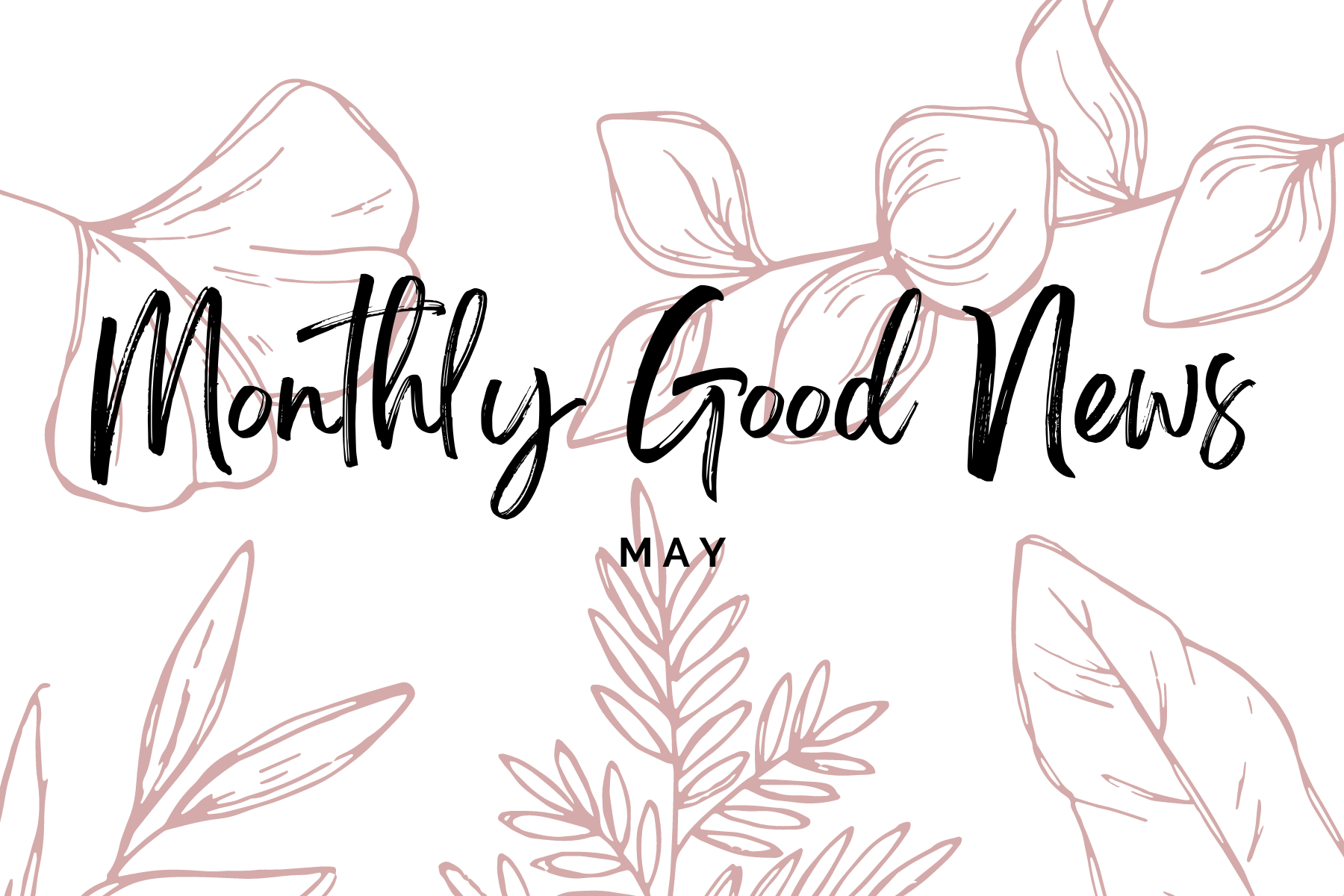 Monthly Good News #9: May