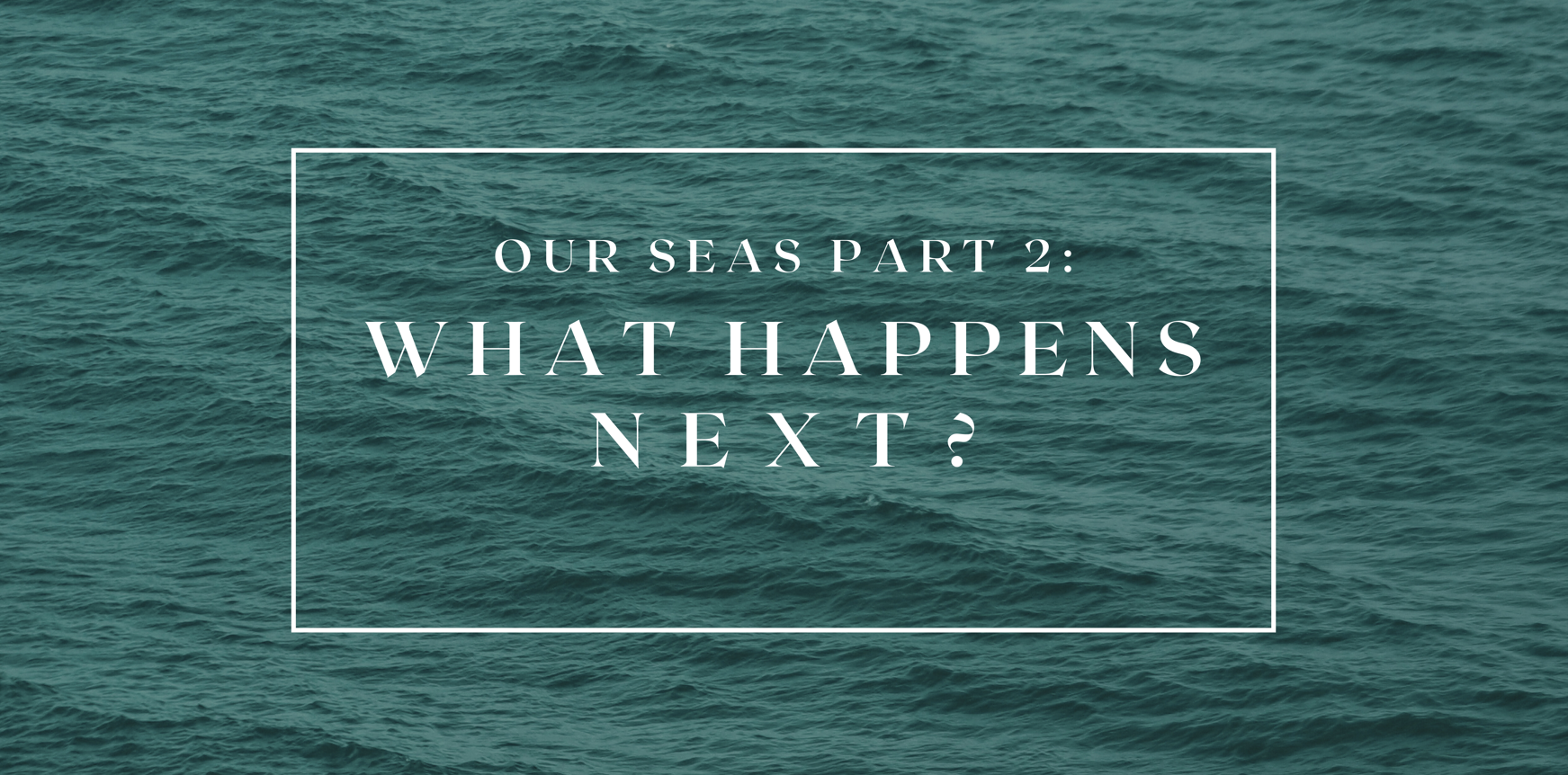 Our Seas Part 2: What Happens Next?
