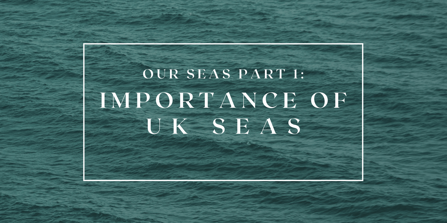 Our Seas Part 1: The Importance of Our Seas