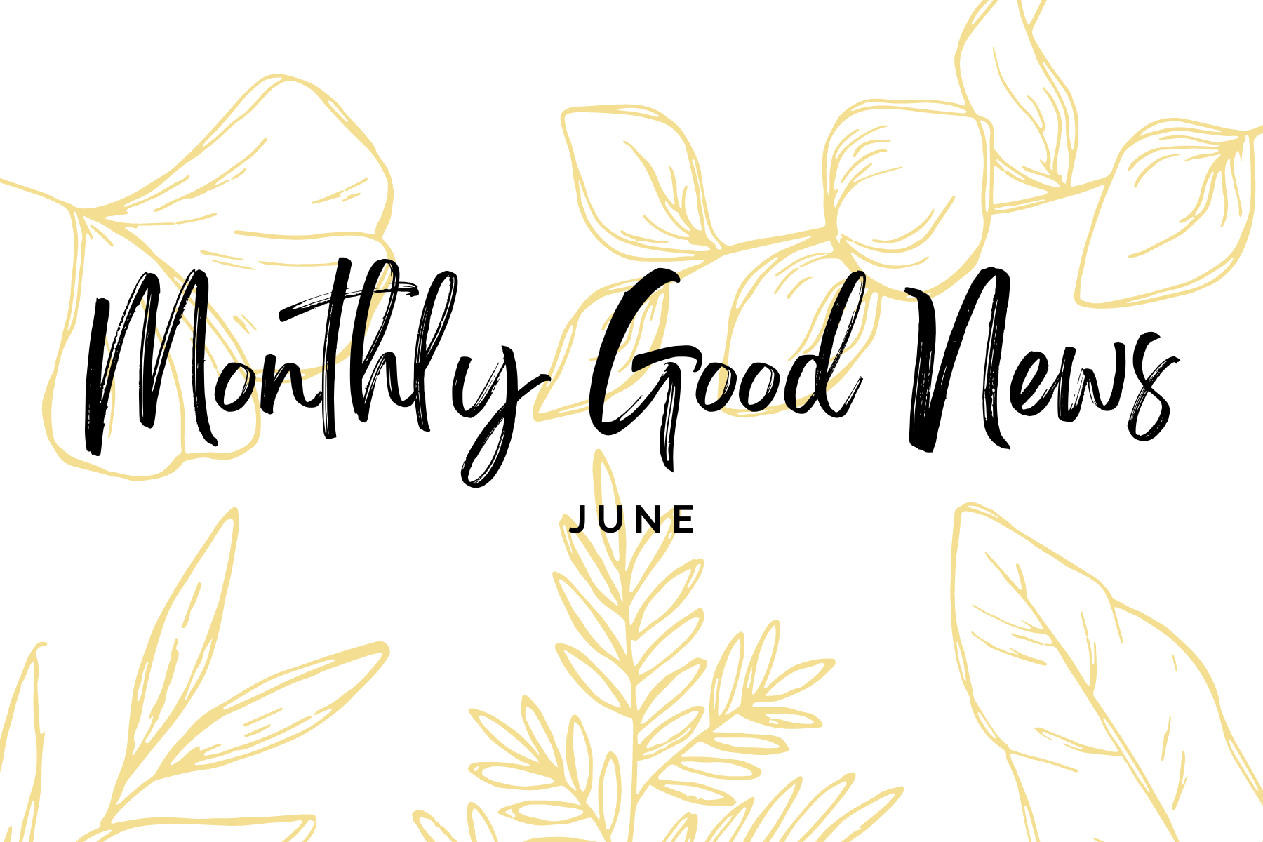 Monthly Good News #10: June