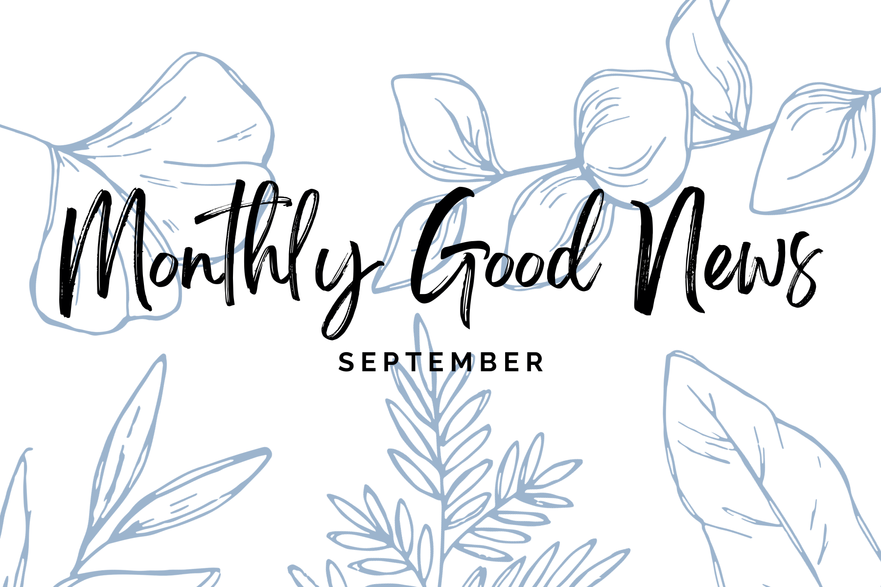 Monthly Good News #13: September