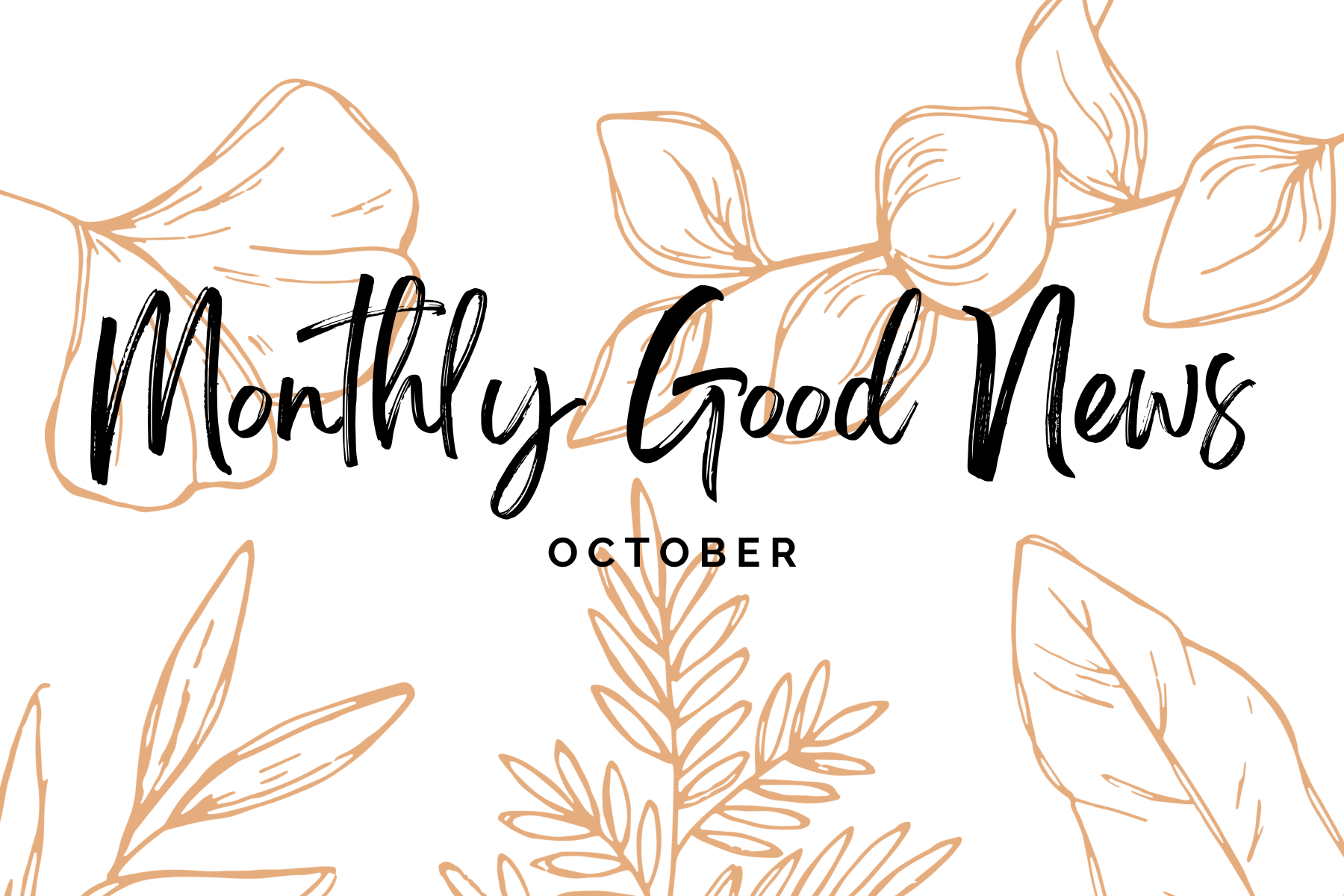 Monthly Good News #14: October