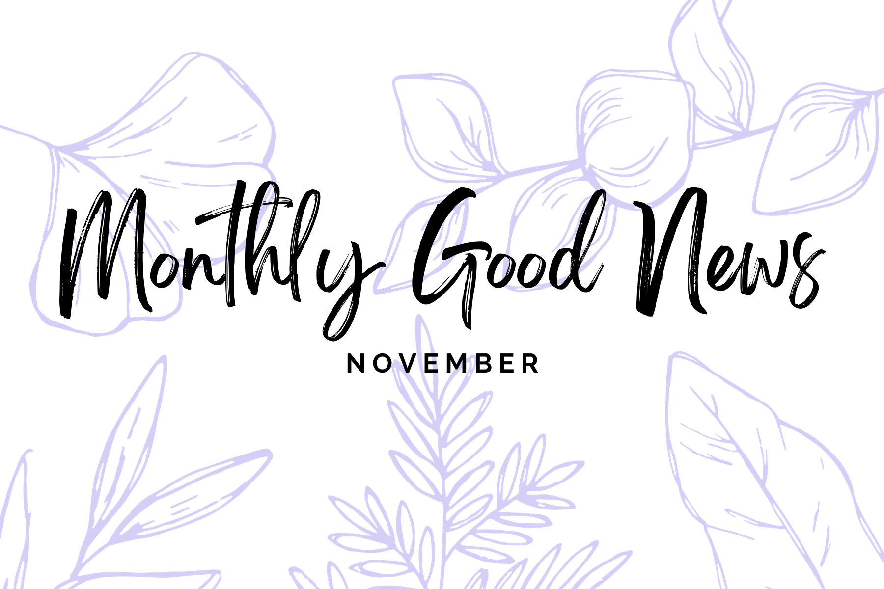 Monthly Good News #15: November