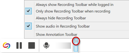 ReCap recording toolbar additional options