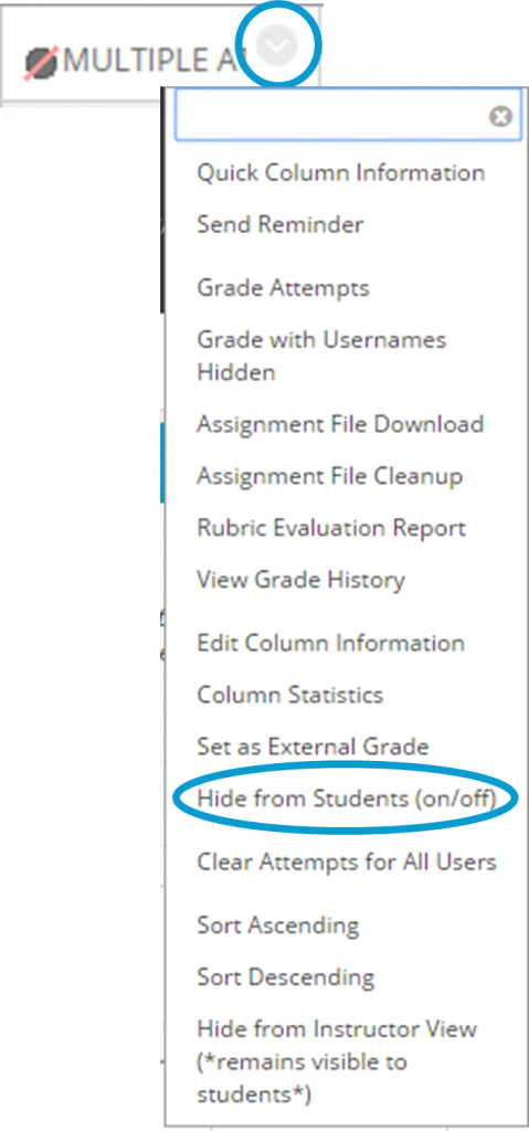 screen image of the drop-down menu to select hide from students on or off