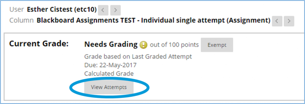 screen image of the grade details window in Blackboard Assignments