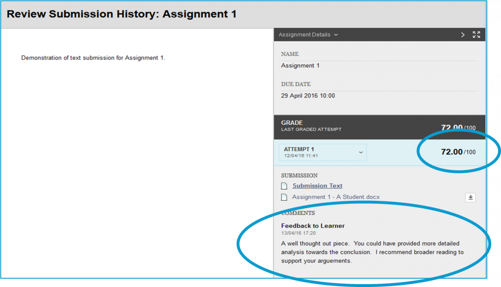 screen image showing the review submission history window in a Blackboard Assignment displaying feedback given by the tutor