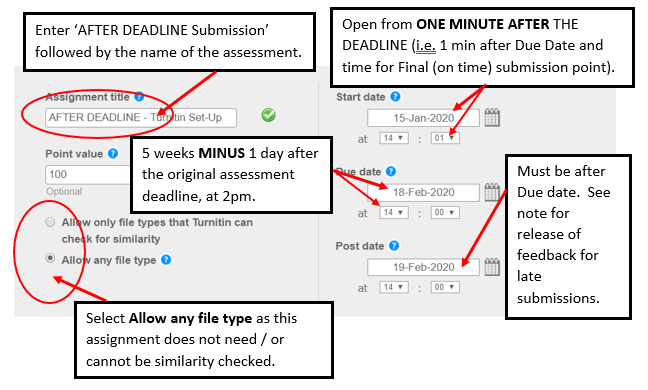 Screen image of initial settings for an After Deadline Turnitin Assignment which does not returns a Similarity Report.