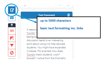 Screen image showing the text panel with overall feedback entered.