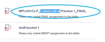 Screen image of a typical Turnitin Assignment link