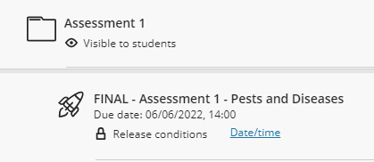 screen image of how a Turnitin Assignment set up appears when built in Blackboard Ultra