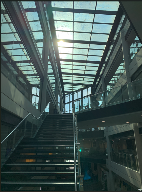 Interior of Augustine House Library